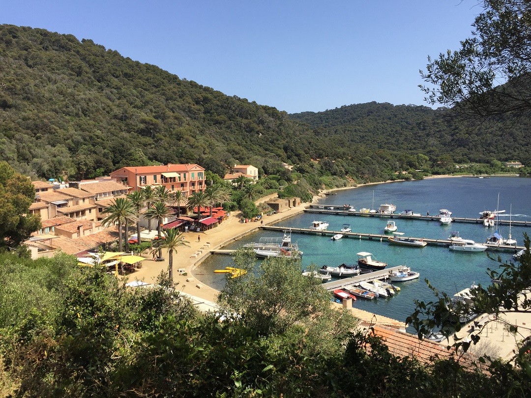 Village